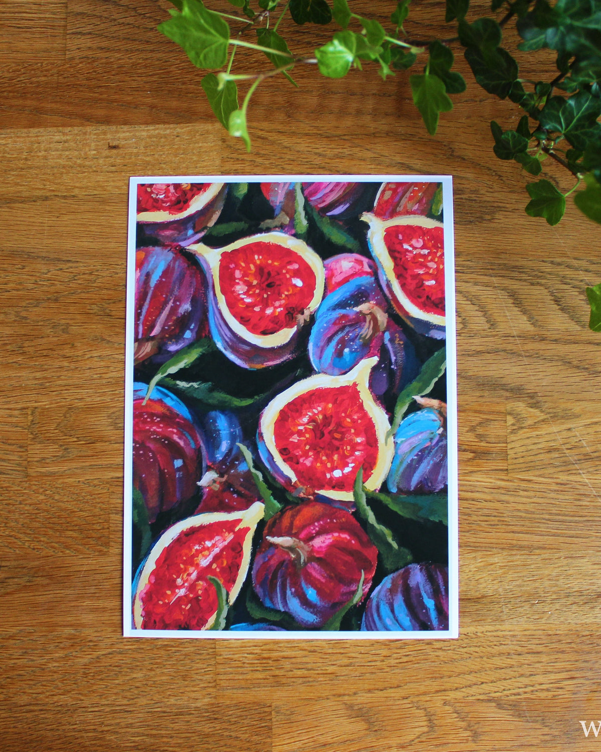 Autumn Figs | Matte Poster